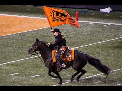 From Fans to Icons: The Oklahoma State Cowboys Mascot and Its Connection with the Community